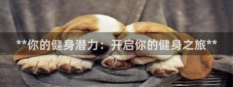 龙八国际娱乐官网app