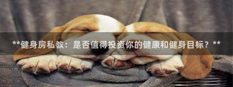龙8游戏官方进入