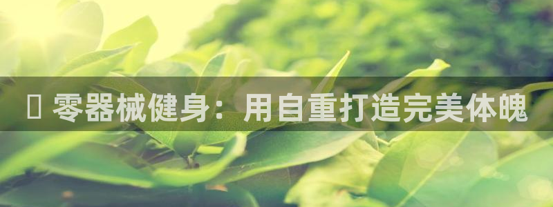 龙八国际娱乐在线游戏