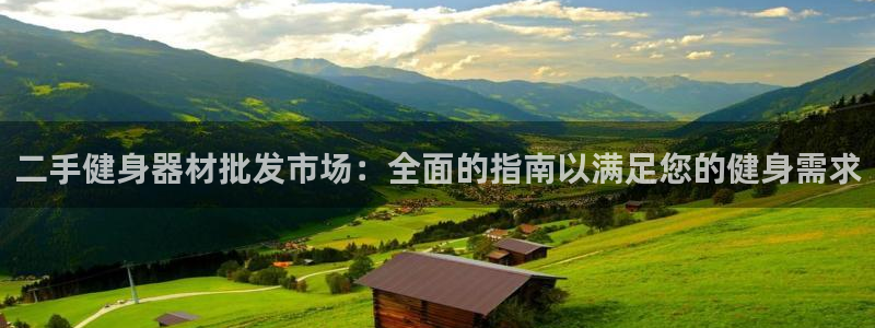 龙八国际娱