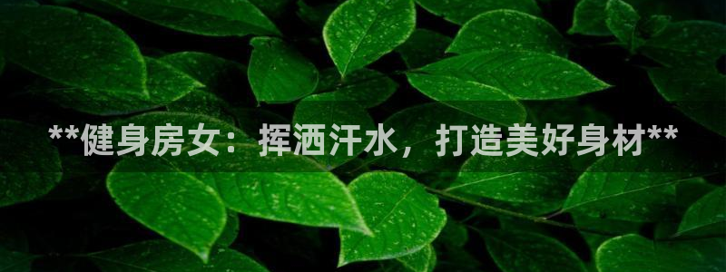 龙8国际官网版玩法