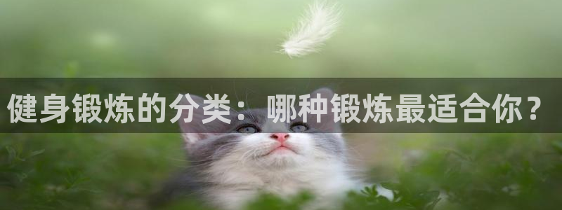 龙八棋牌