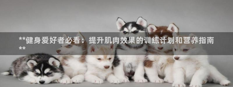 龙8国际真钱