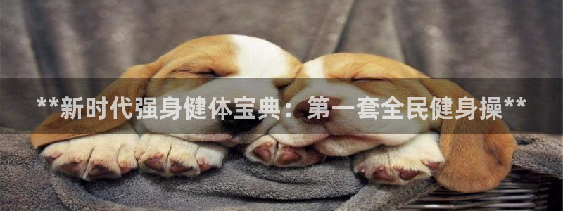 龙八国际手机客户端