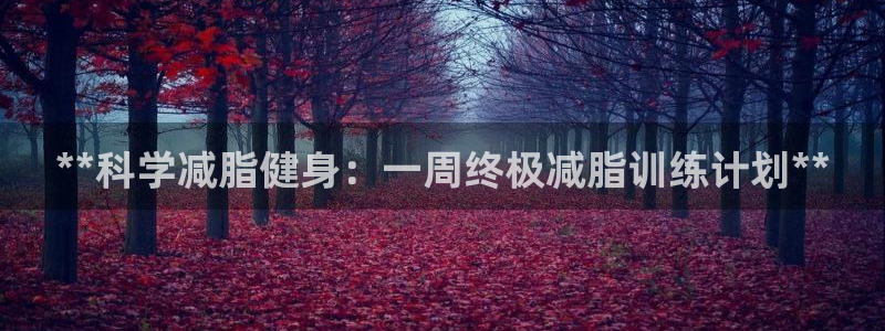 龙8国际是什么电影