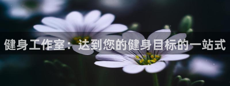 龙8国际是什么电影