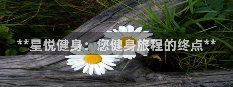 龙8国际手机网页版