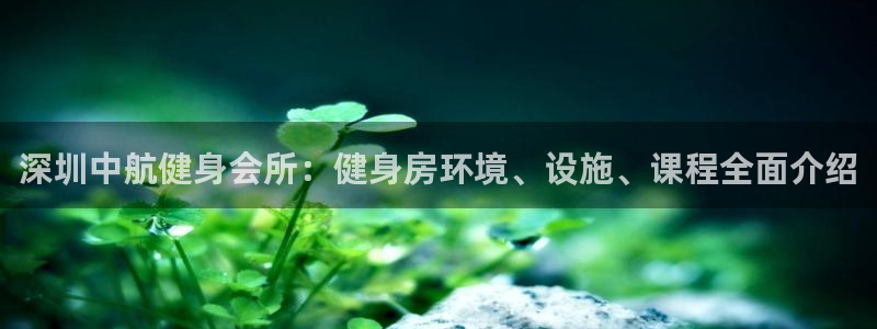 龙八国际手机客户端