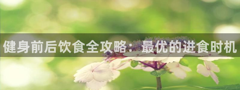 龙8国际客服