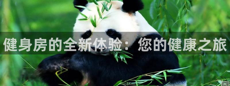 下载龙八国际