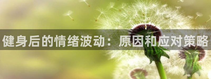 龙8国际登入