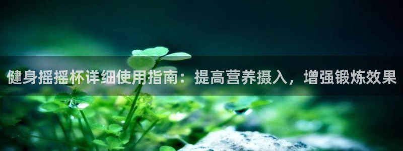 龙8国际官网正版