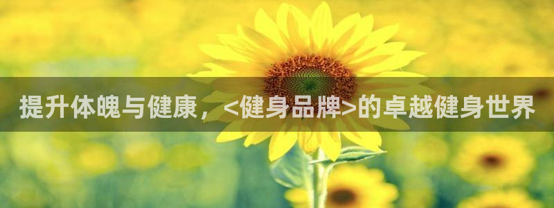 龙8国际下载