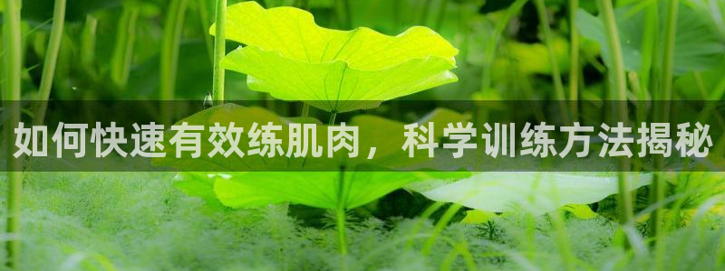 龙8国际官网下载地址