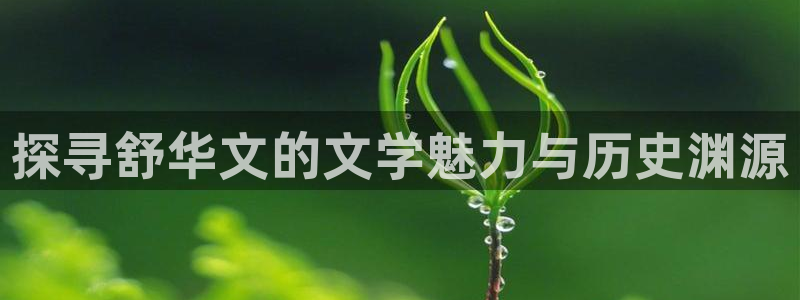 龙8国际官方平台