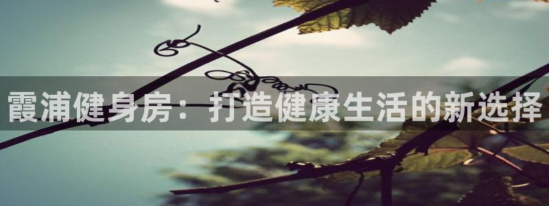 龙8国际手机游戏官网下载