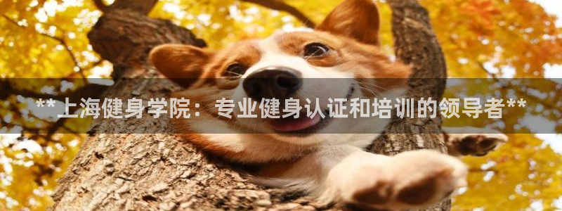 龙8国际备用