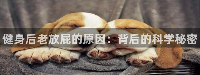 下载龙八国际官网