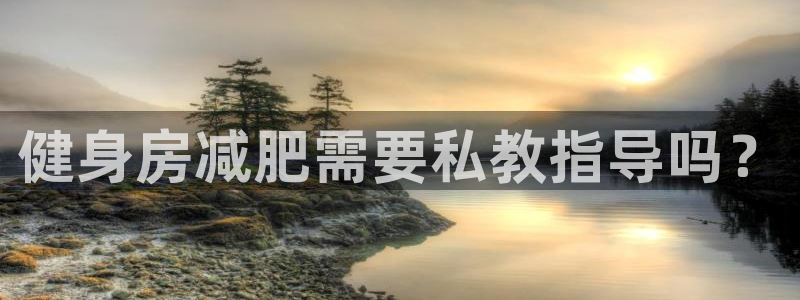 龙八国际下载链接
