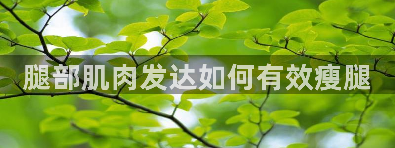 龙8国际官网正版