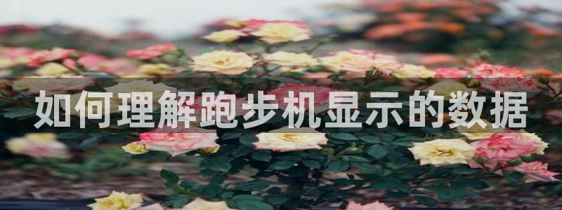 龙8国际城