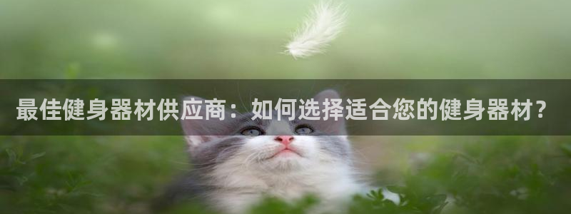 龙8国际网址是什么