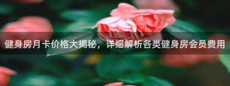 龙8国际游戏最新资讯