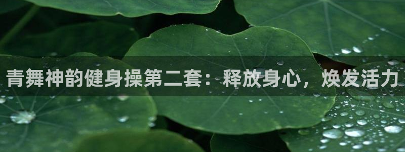 龙8国际2020官方网站
