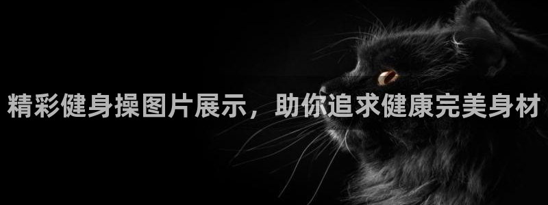 龙8国际头号玩家