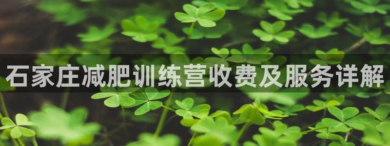 龙八国际app下载客户端
