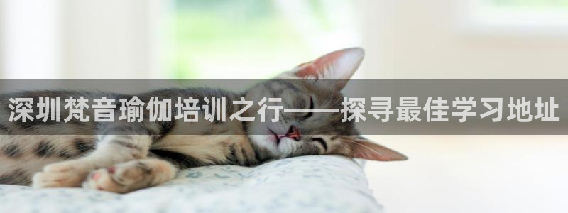 龙8国际官方下载