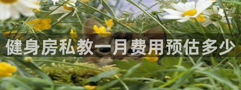 国际龙8唯一登陆