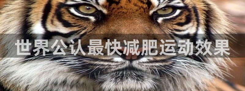 下载龙八国际