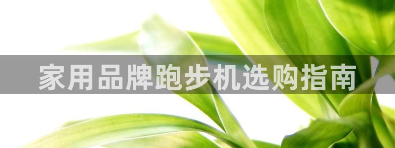 龙8老虎机游戏网站多少
