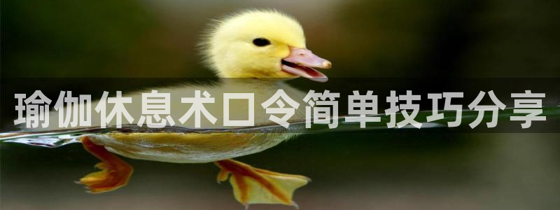 龙8国际官网版手机版