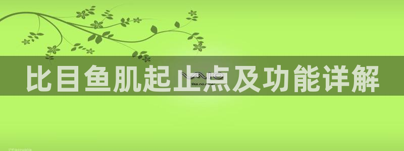 龙8-龙国际-long8-龙8游戏