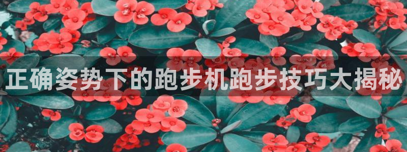龙8国际唯一官网