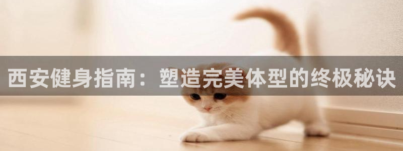 龙8官网老虎机游戏主页
