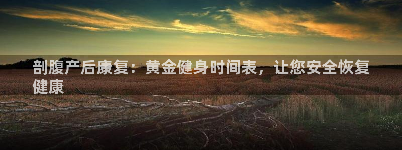龙8国际2020官方网站