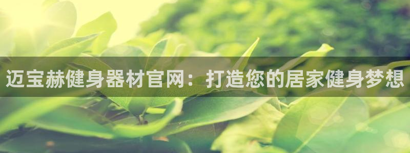 龙8国际开户