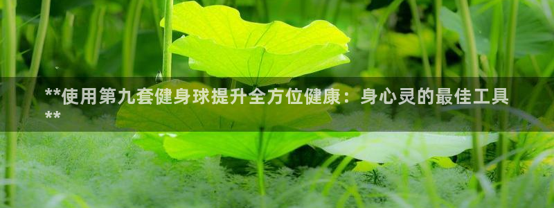 龙8游戏官方进入