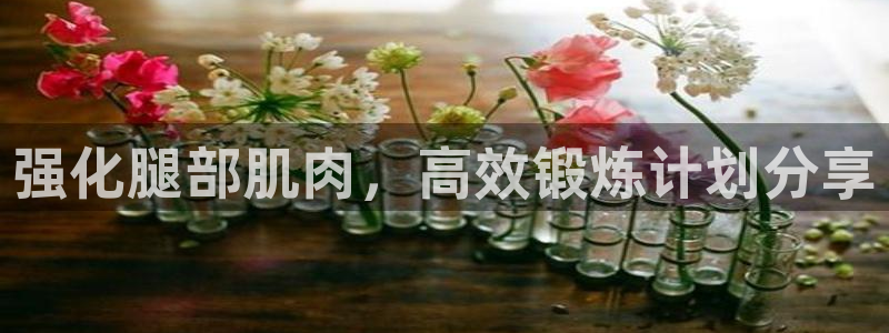 龙八国际娱乐官网下载