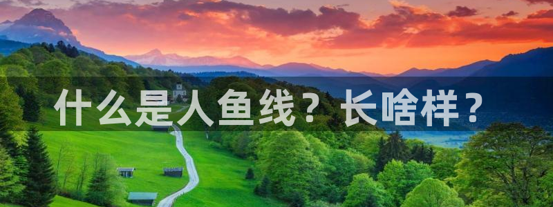 龙8国际老虎机游戏