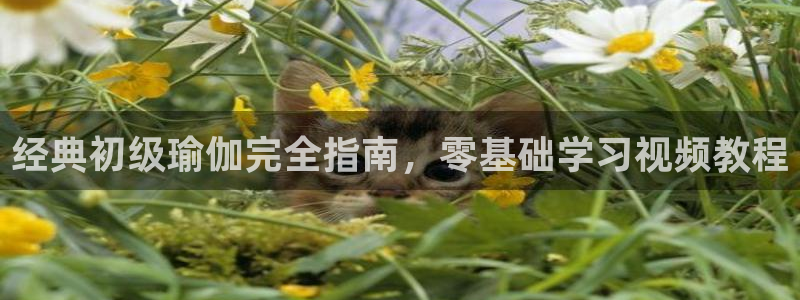 龙8国际试玩
