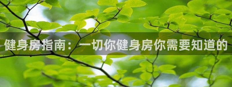 龙8国际官方网站手机版