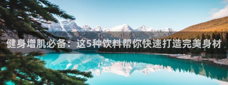 龙8国际官网官方版fxzls天地手游 -kc -安卓