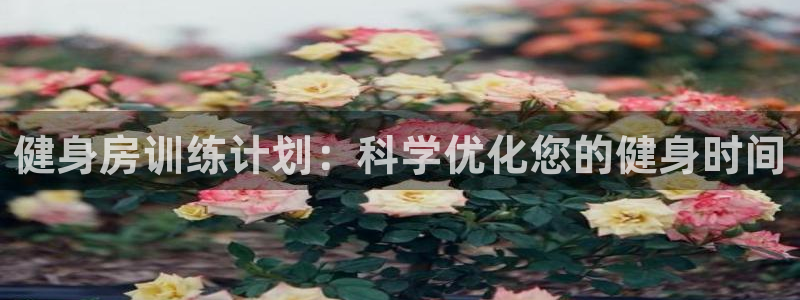 龙8游戏平台官方