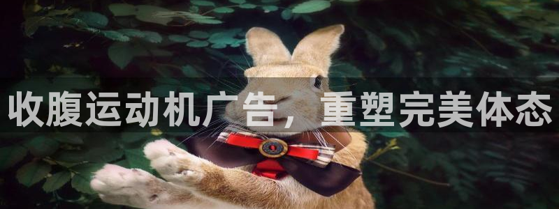 龙8国际long8