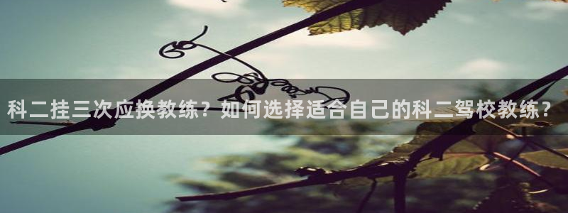 龙8国际手机游戏官网版