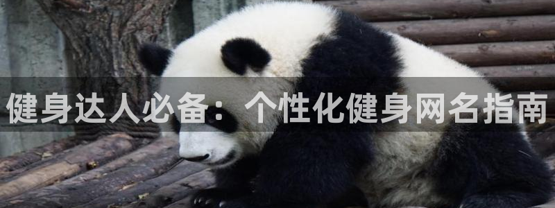 龙8国际官网下载地址